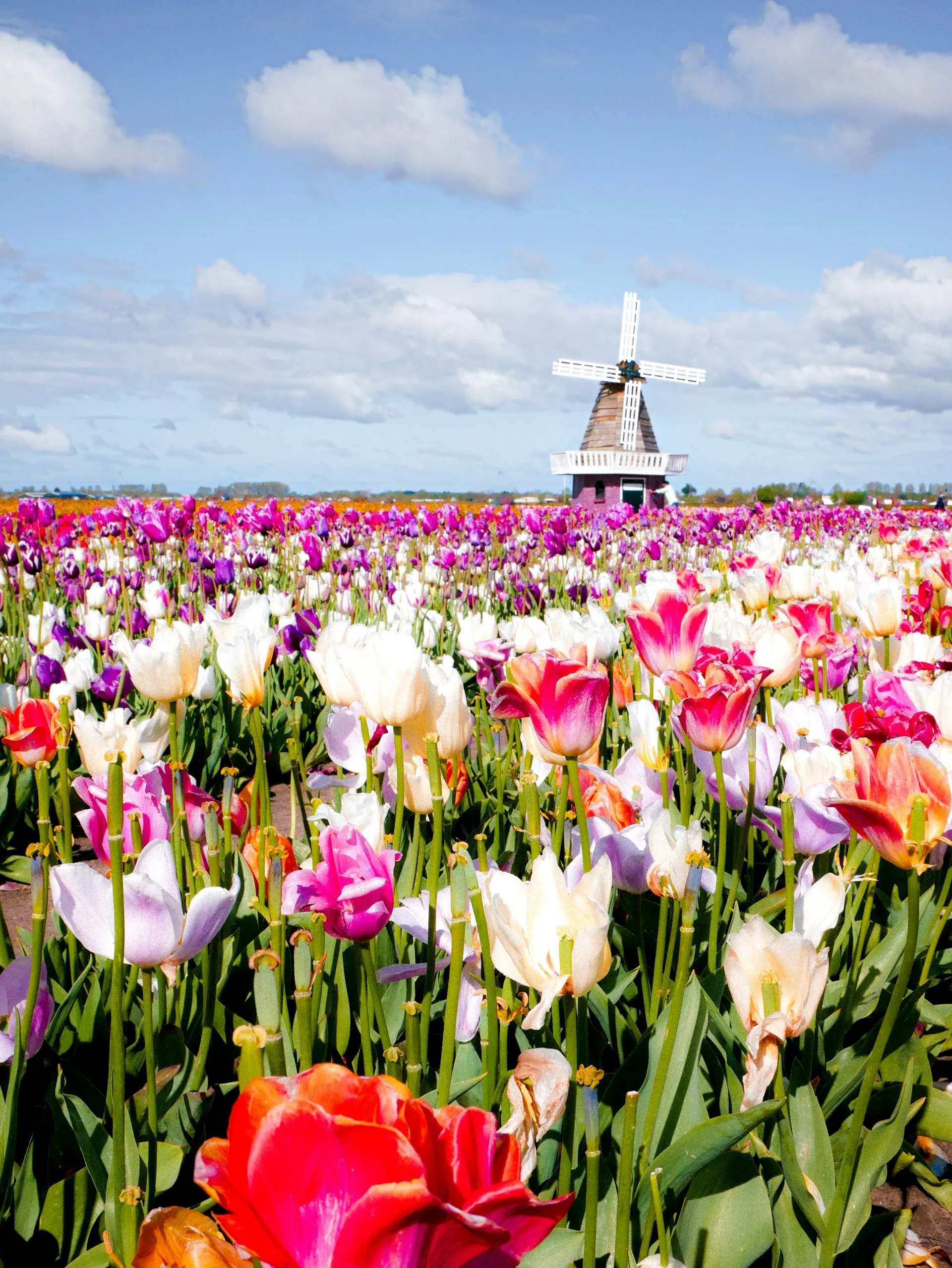 AUPAIR EN HOLANDA